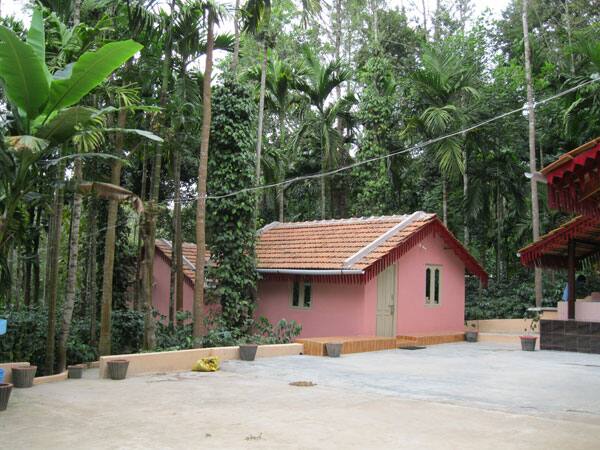 Halligadde Homestay, Chikmaglur 2